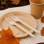 سفره یکبار مصرف یا پارچه‌ ای؟ کدام گزینه برای شما مناسب‌ تر است؟